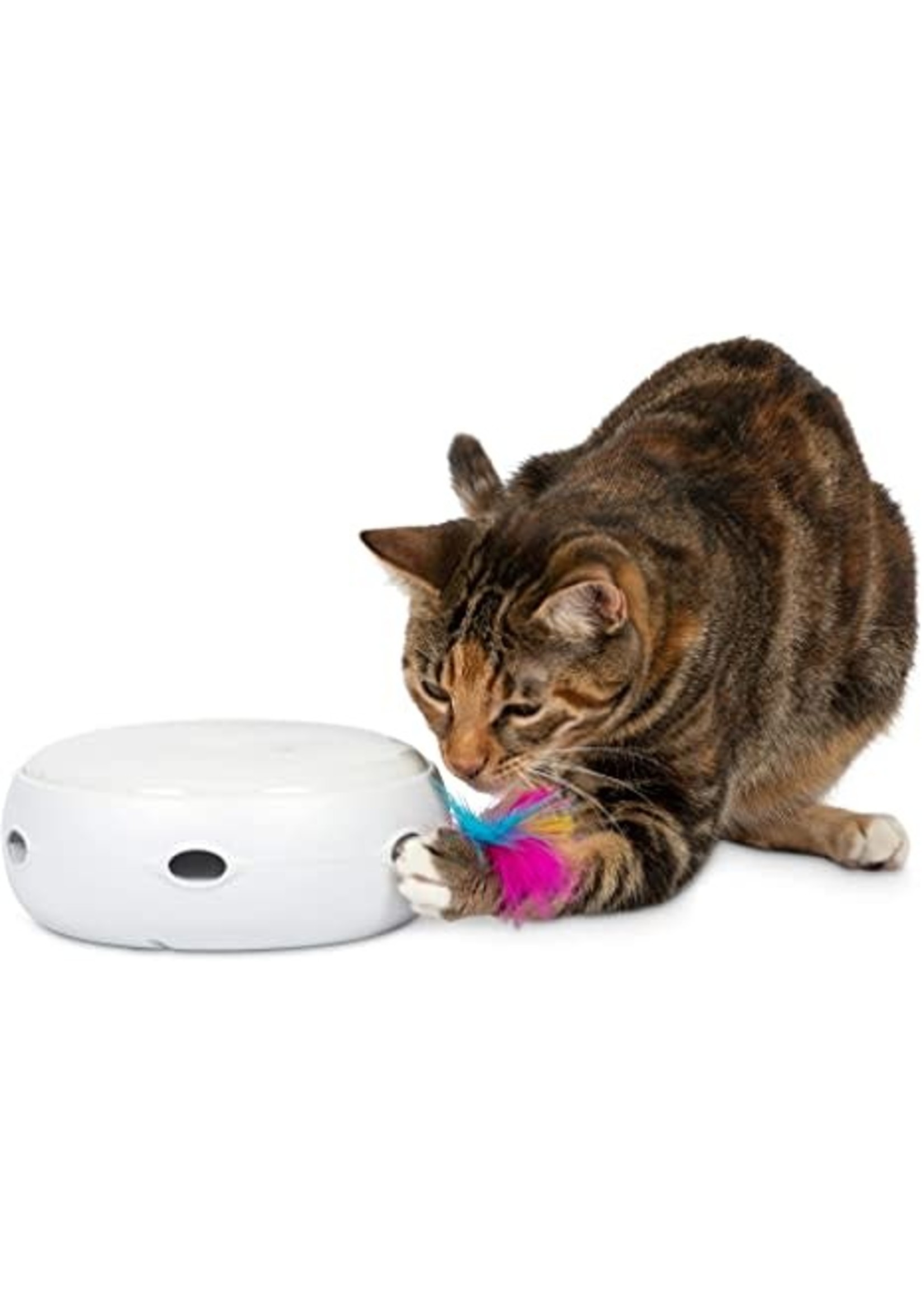 PetFusion AMBUSH Interactive Cat Toy w/ Rotating Feather