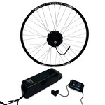 LionTail Electric Assist System