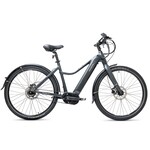 Priority Current Plus E-Bike, Shimano (Charcoal)