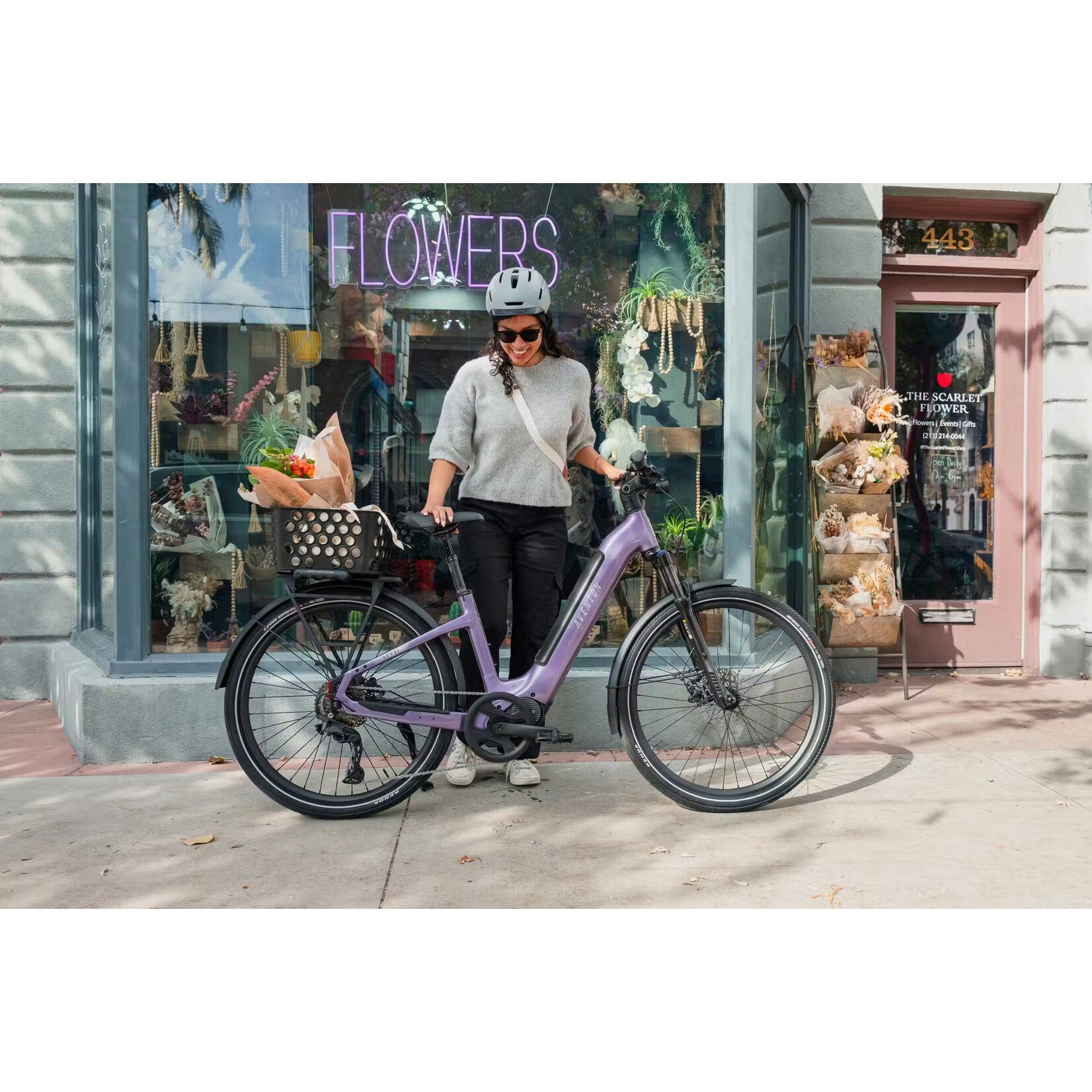 Aventon Aventon Level 4 ADV Step-Thru E-Bike