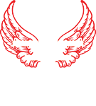 Extreme Velocity Paintball Airsoft Laser Tag