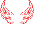 Extreme Velocity Paintball Airsoft Laser Tag