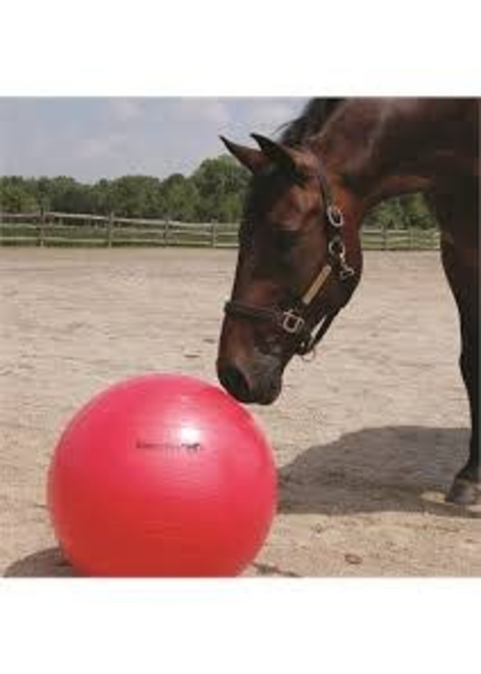 Horseman's Pride Mega Jolly Ball -