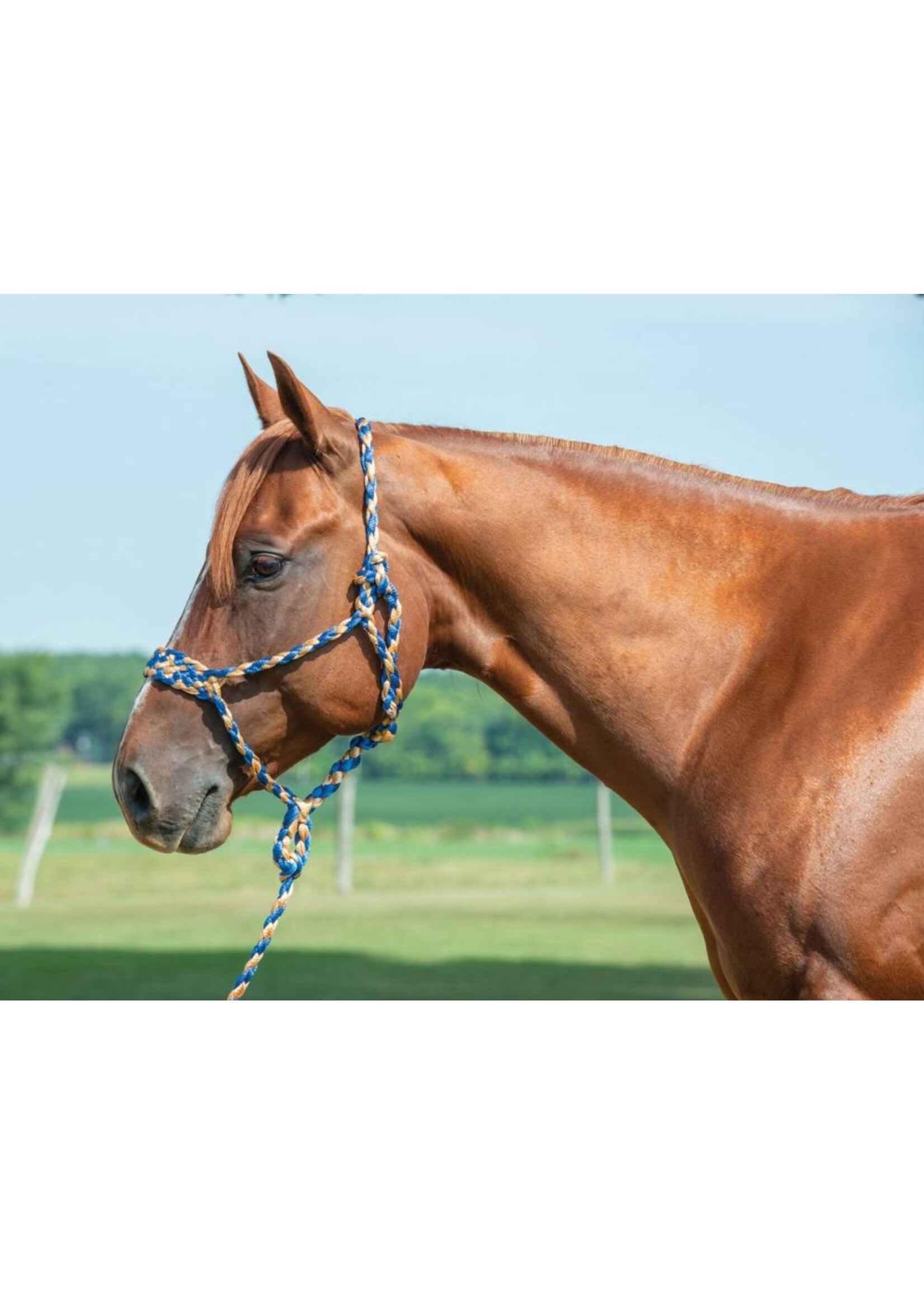 Weaver Weaver Braided Rope Halter With Lead -