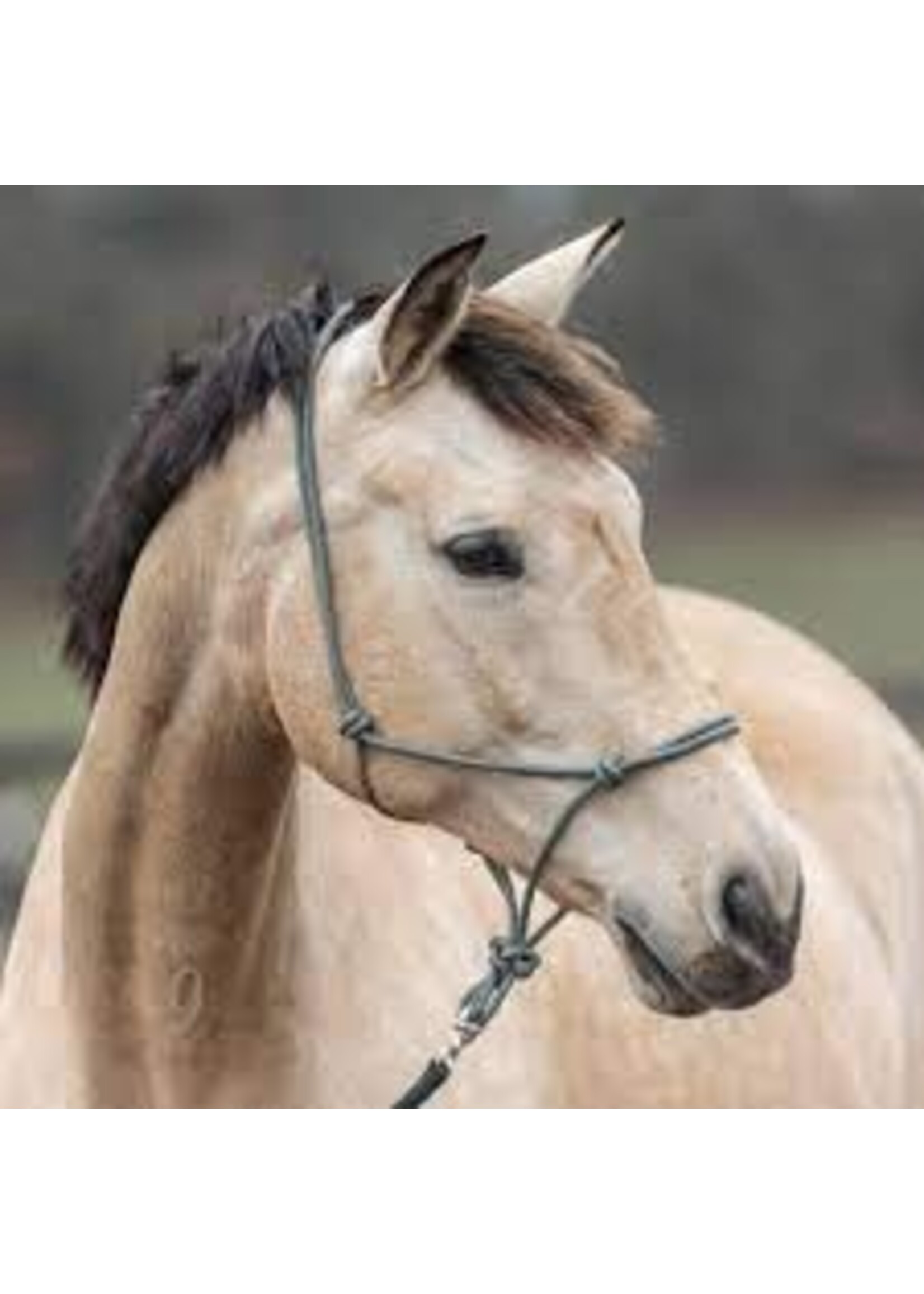 Burwash Horse Gear Burwash Natural Horse Rope Halter - Average -