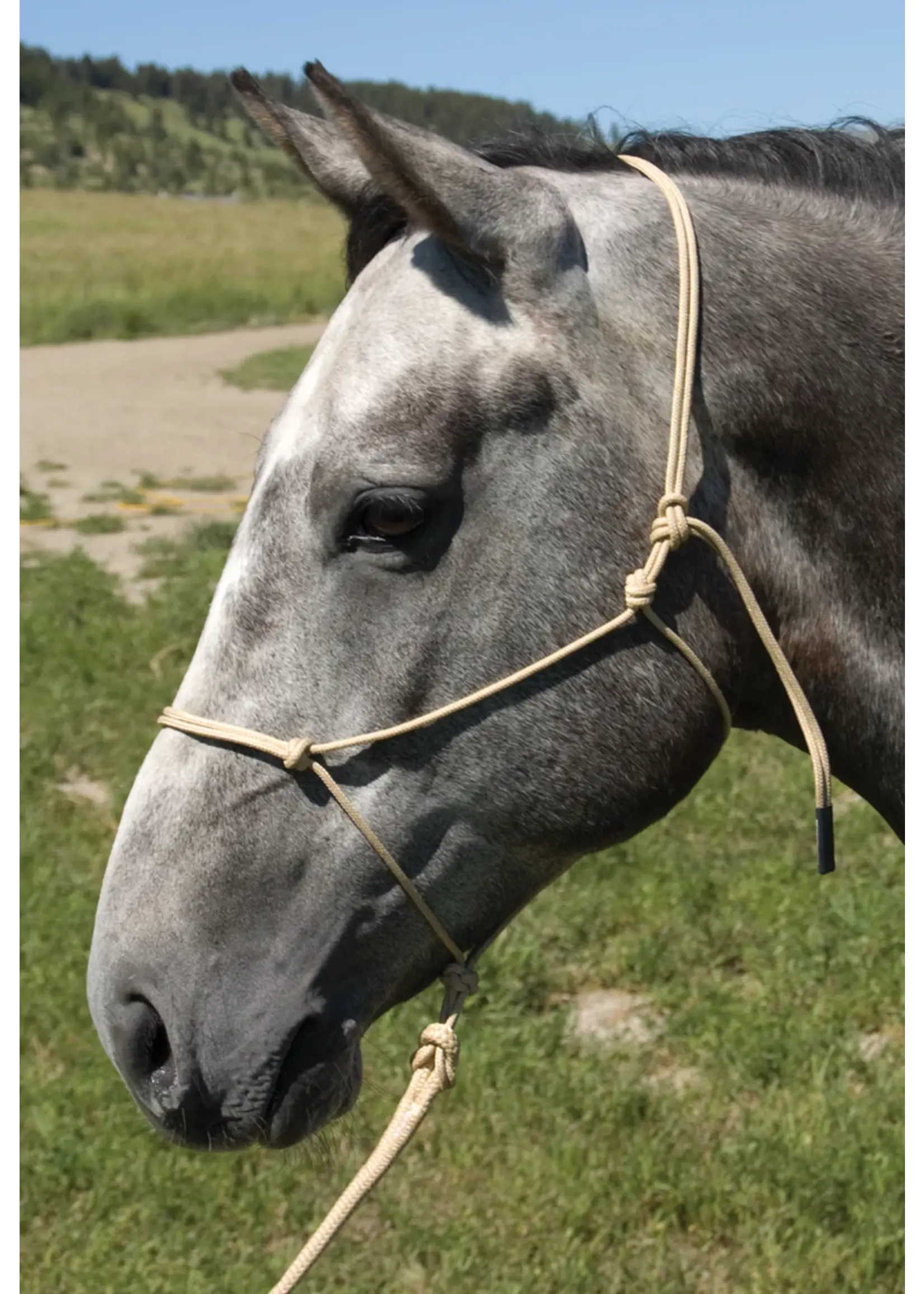 Burwash Horse Gear Burwash Natural Horse Rope Halter - Average -