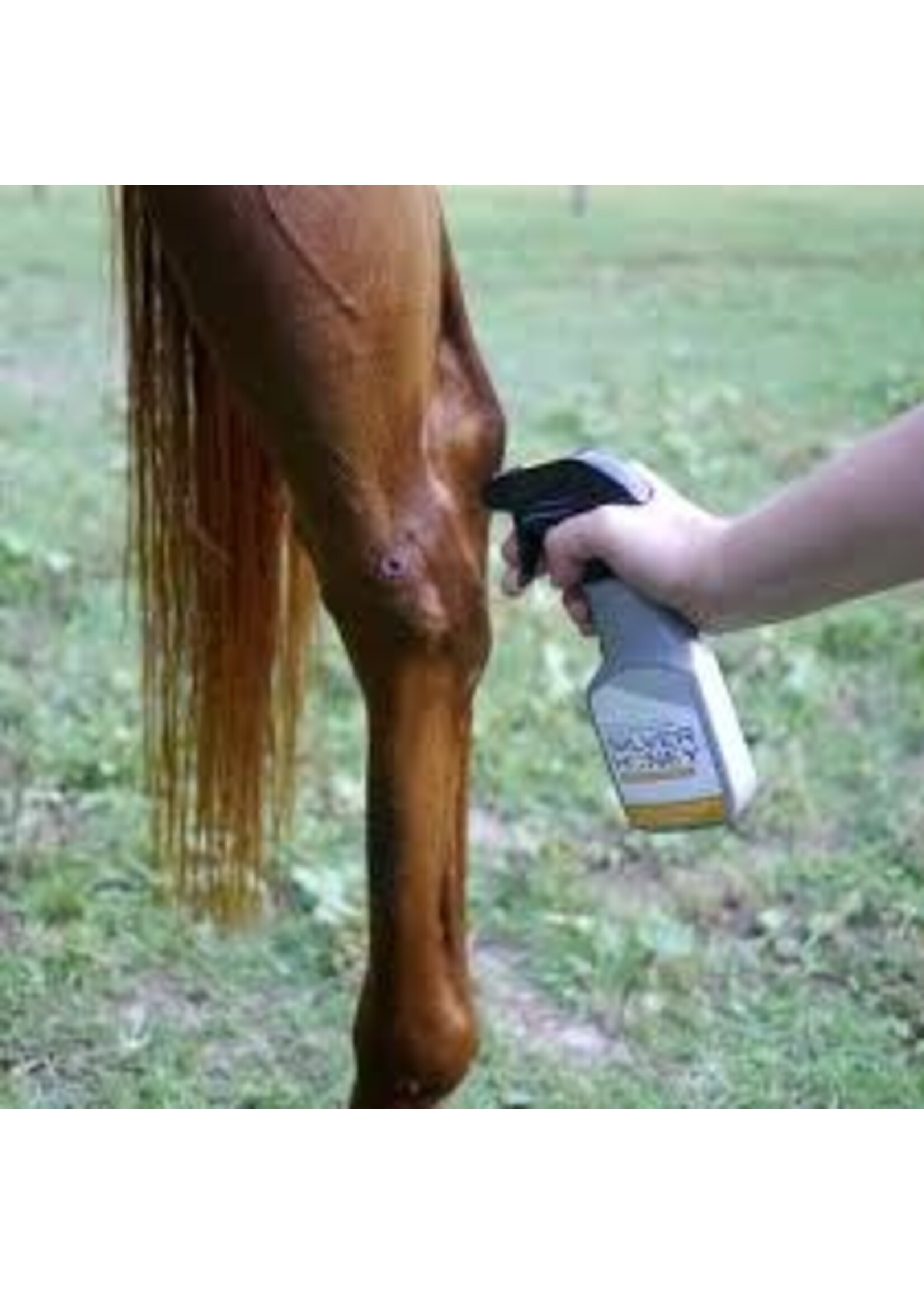 Absorbine Silver Honey -