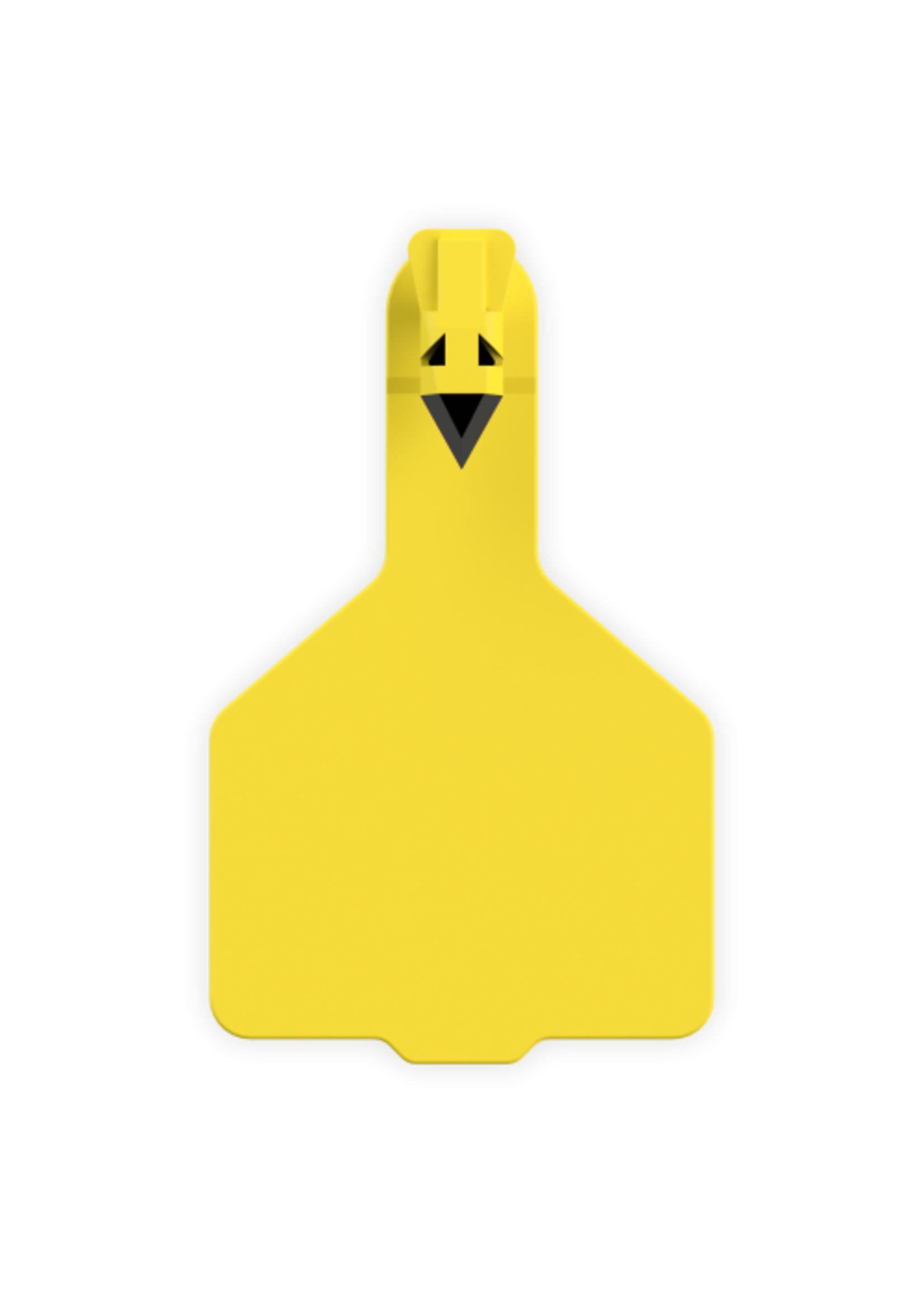 Leader Tags - 1 Piece Range Calf - 25pk -
