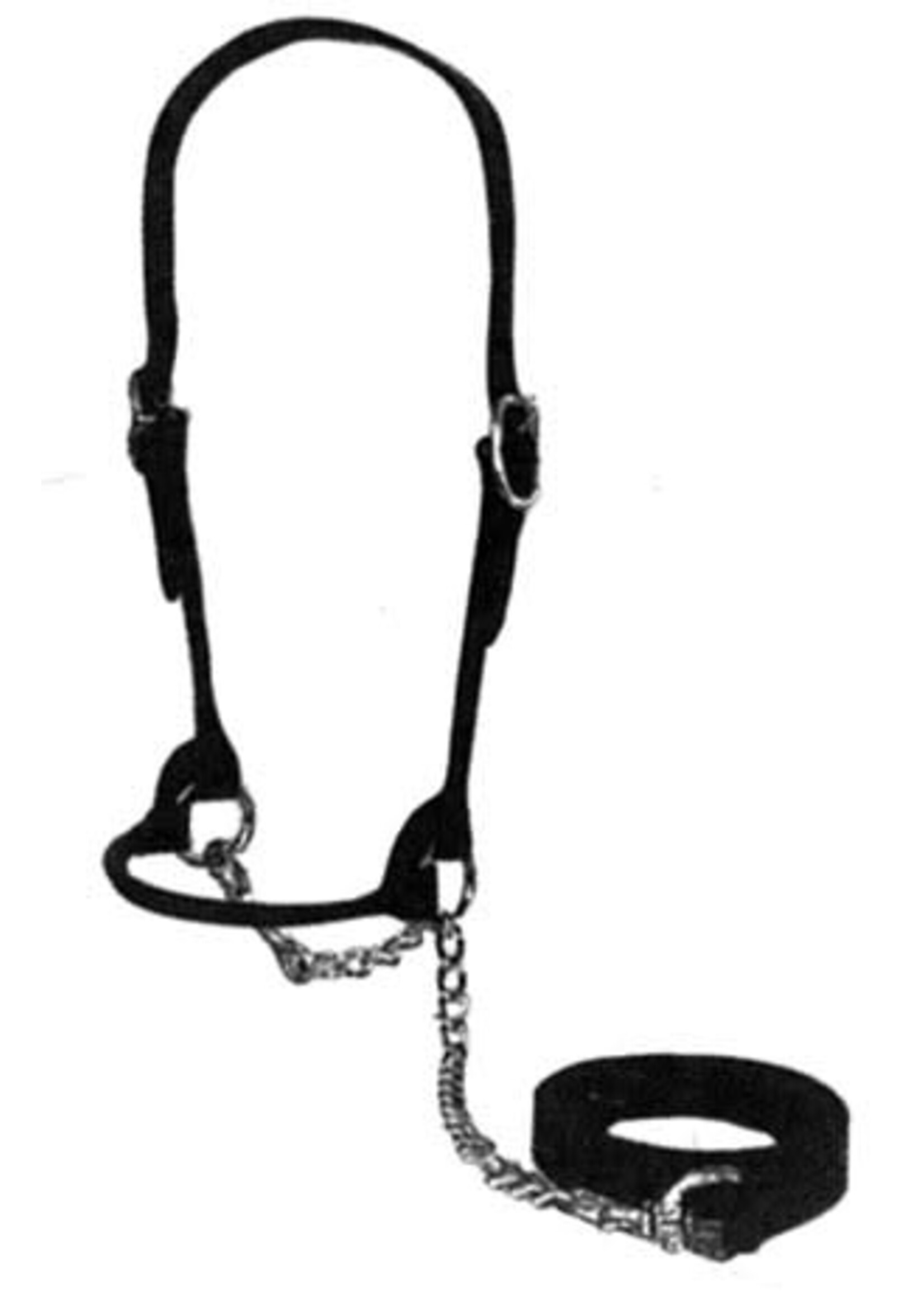 Kane Leather Show Halter - Cow Black