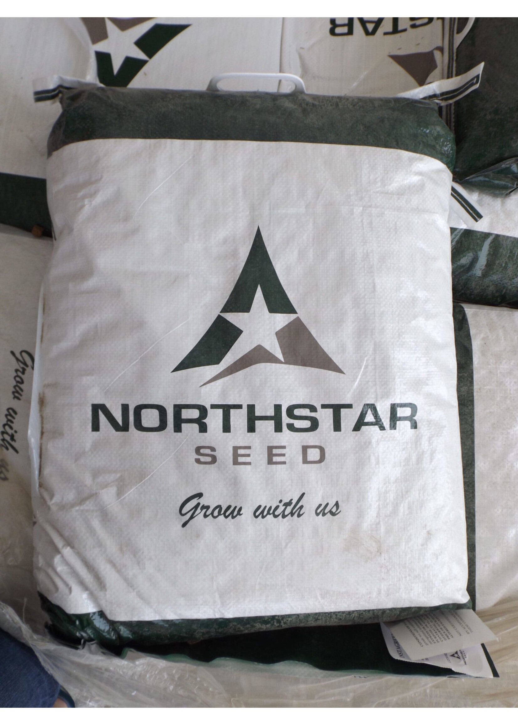 Northstar Seed - Instagreen - 25 kg
