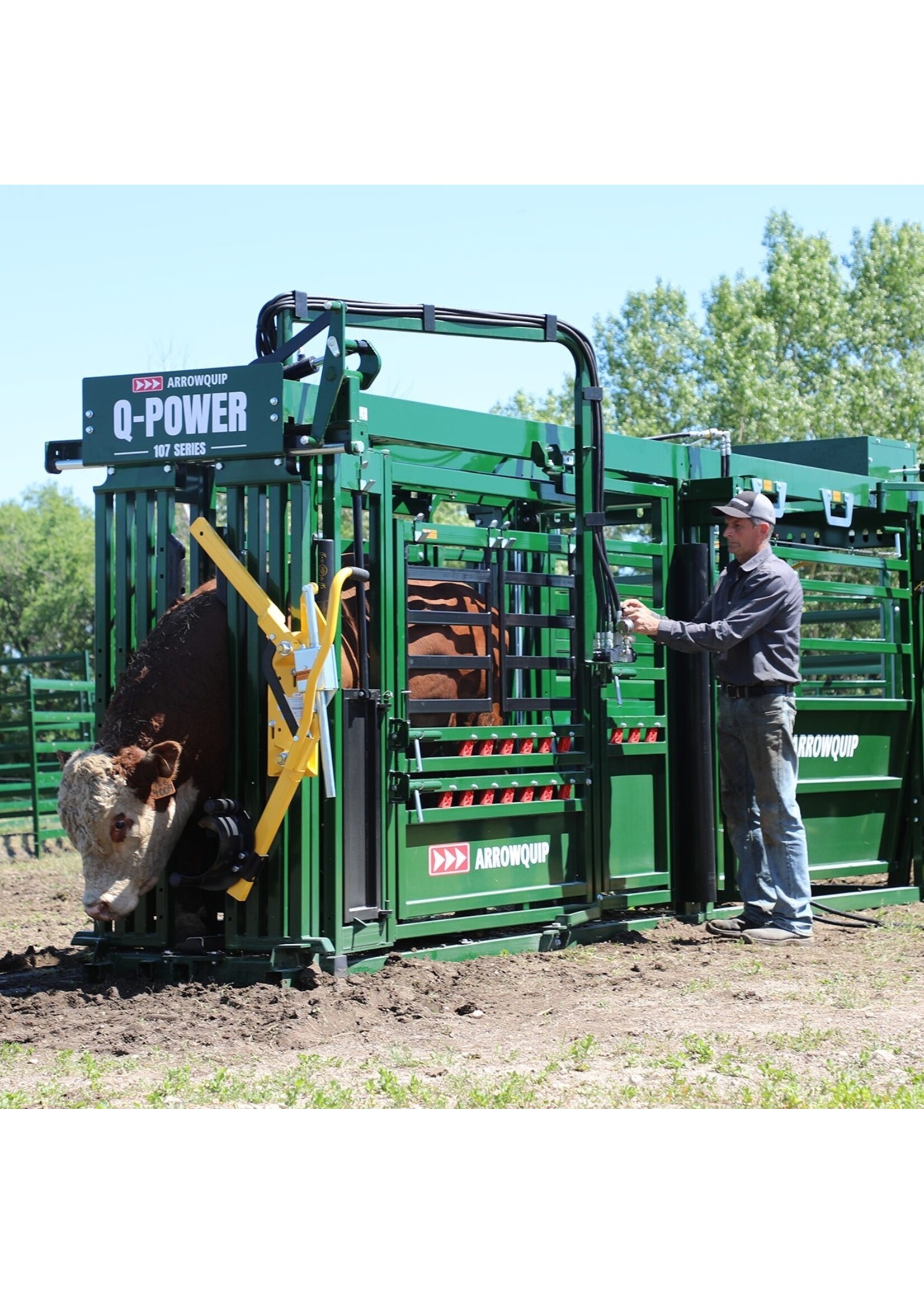 Arrowquip 107 Q-Power Series Cattle Chute
