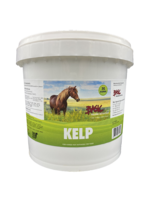 Basic Equine Nutrition Basic Equine - Kelp - 3 kg