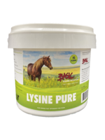 Basic Equine Nutrition Basic Equine - Lysine  -