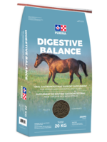 Purina - Digestive Balance - 20 kg