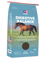 Purina - Digestive Balance 20kg