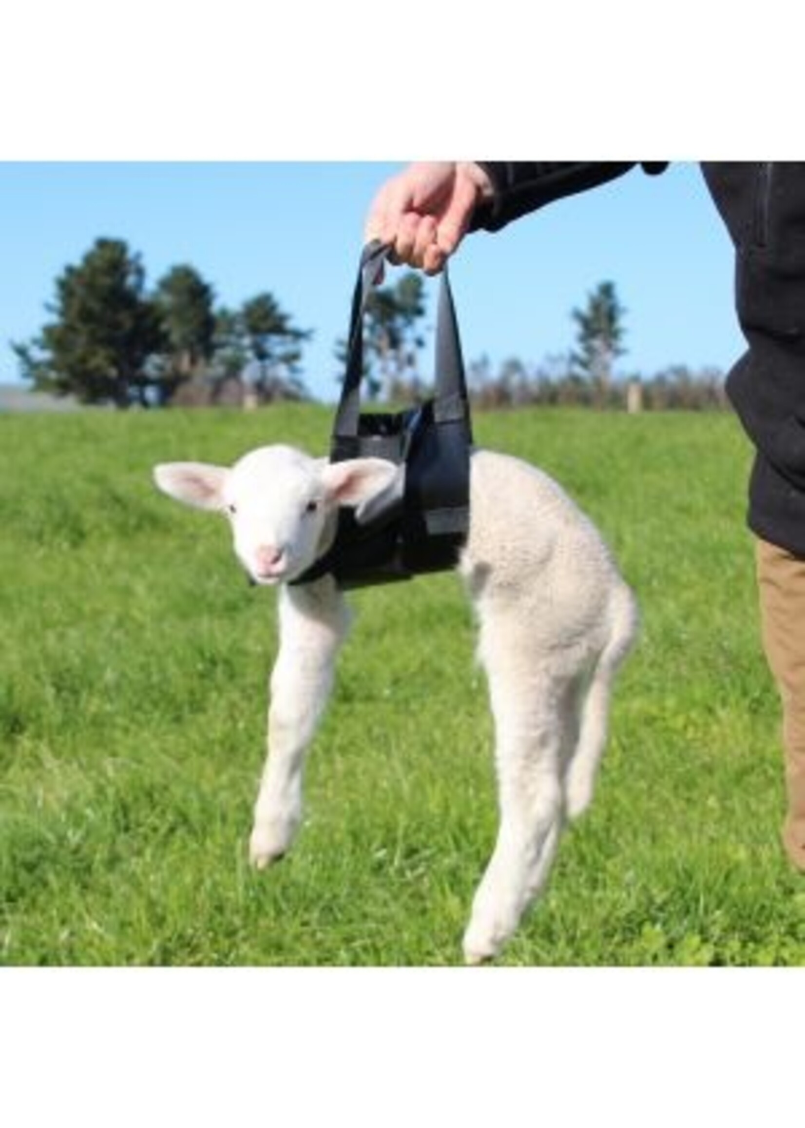 Lamb Weigh Sling