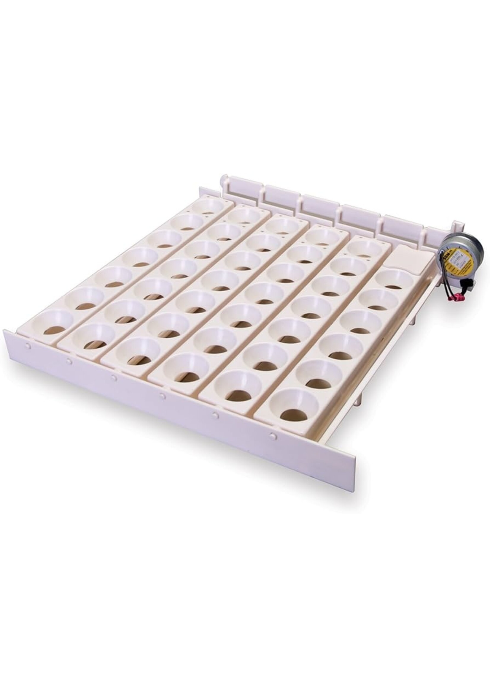 Little Giant Automatic Egg Turner - Little Giant