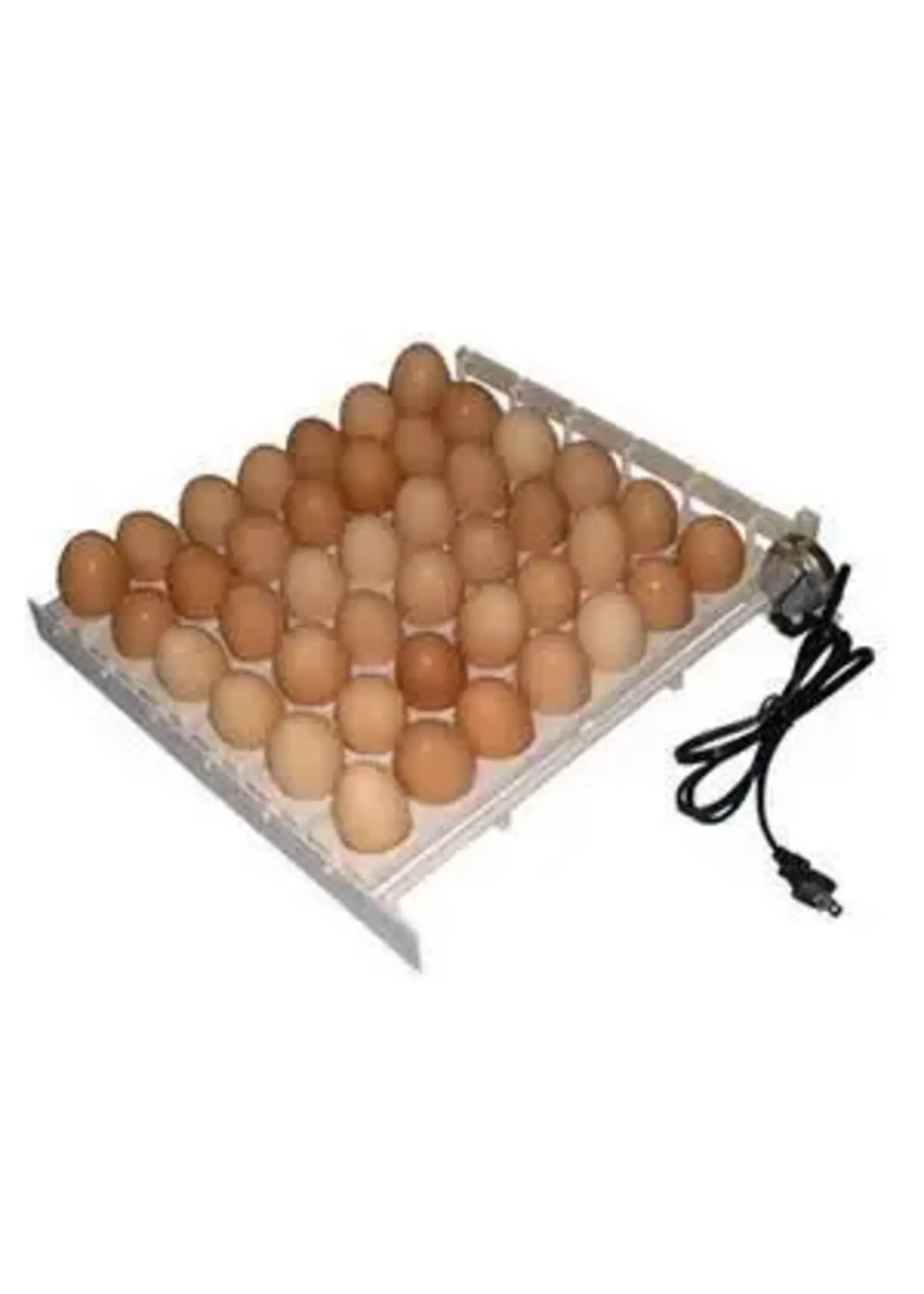 Little Giant Automatic Egg Turner - Little Giant