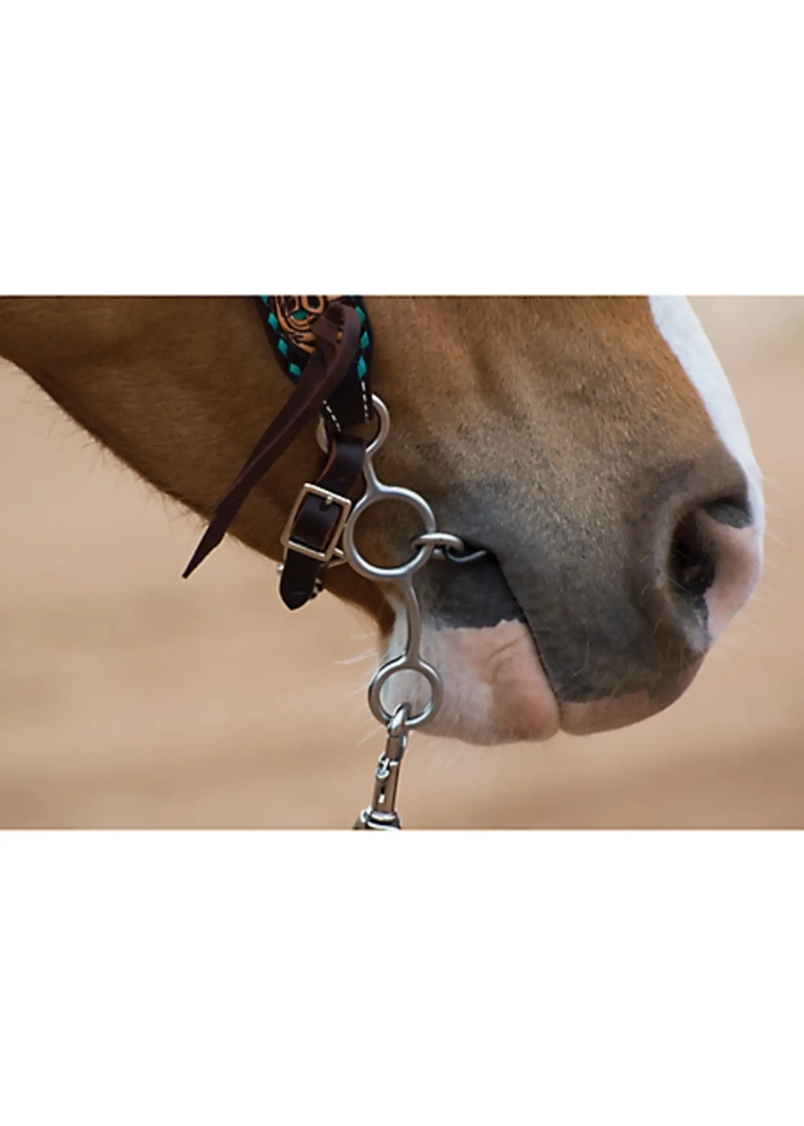 Reinsman Bit - Jr Cow Horse Chain Gag