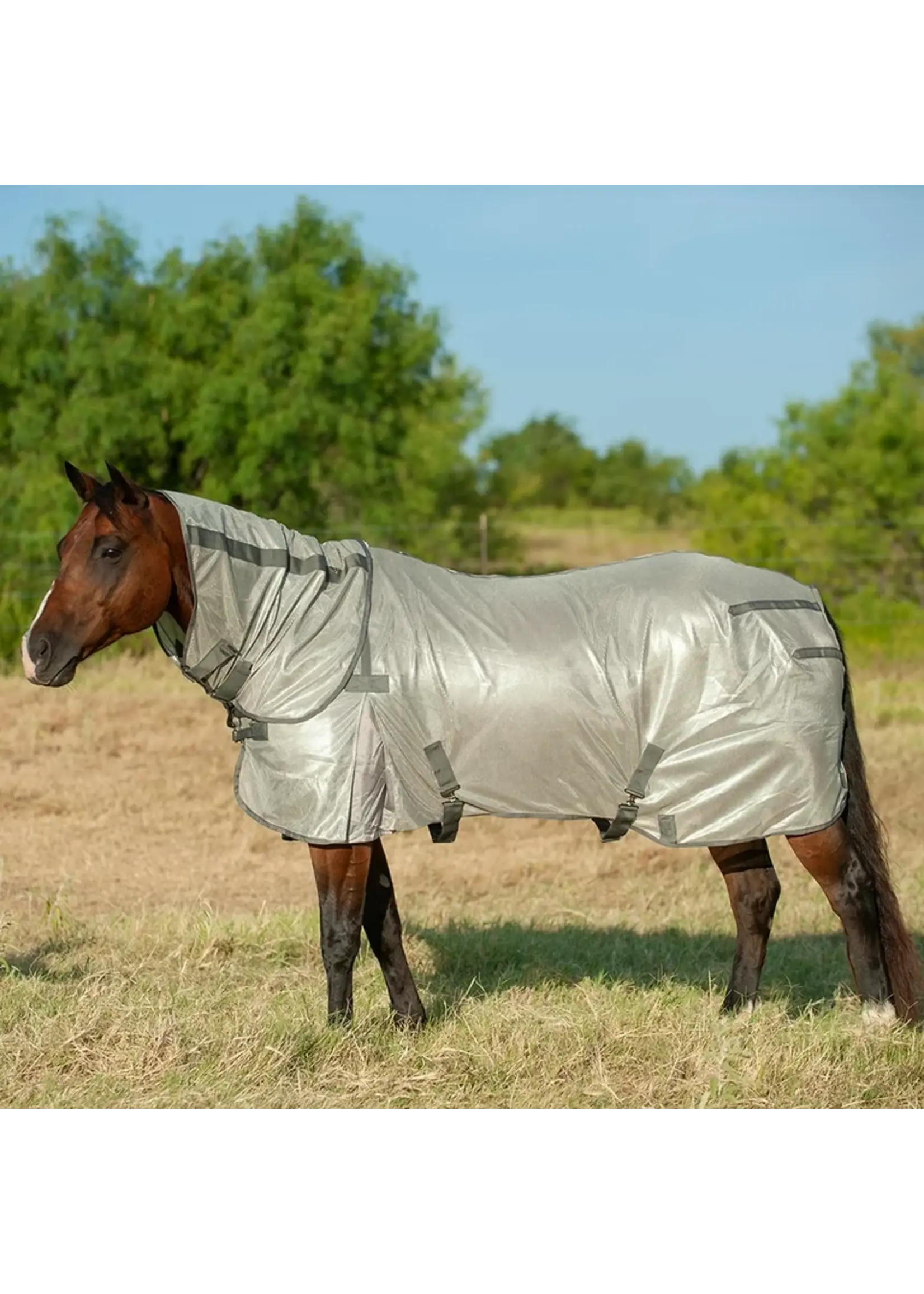 CASHEL Cashel Fly Sheet With Neck -