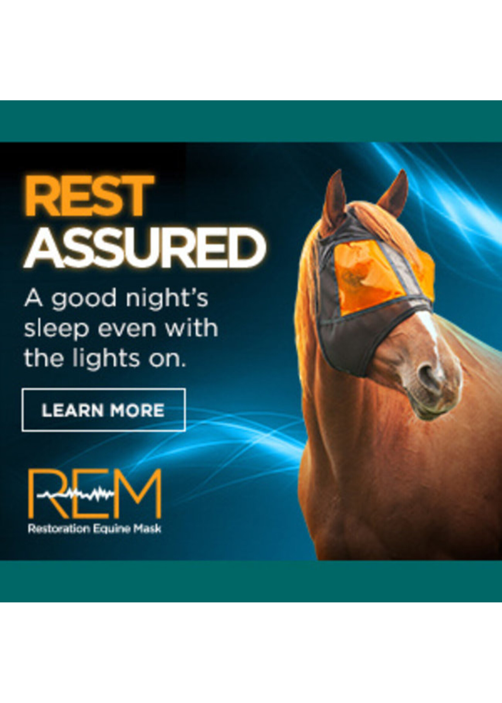 REM REM- Restoration Equine Mask -