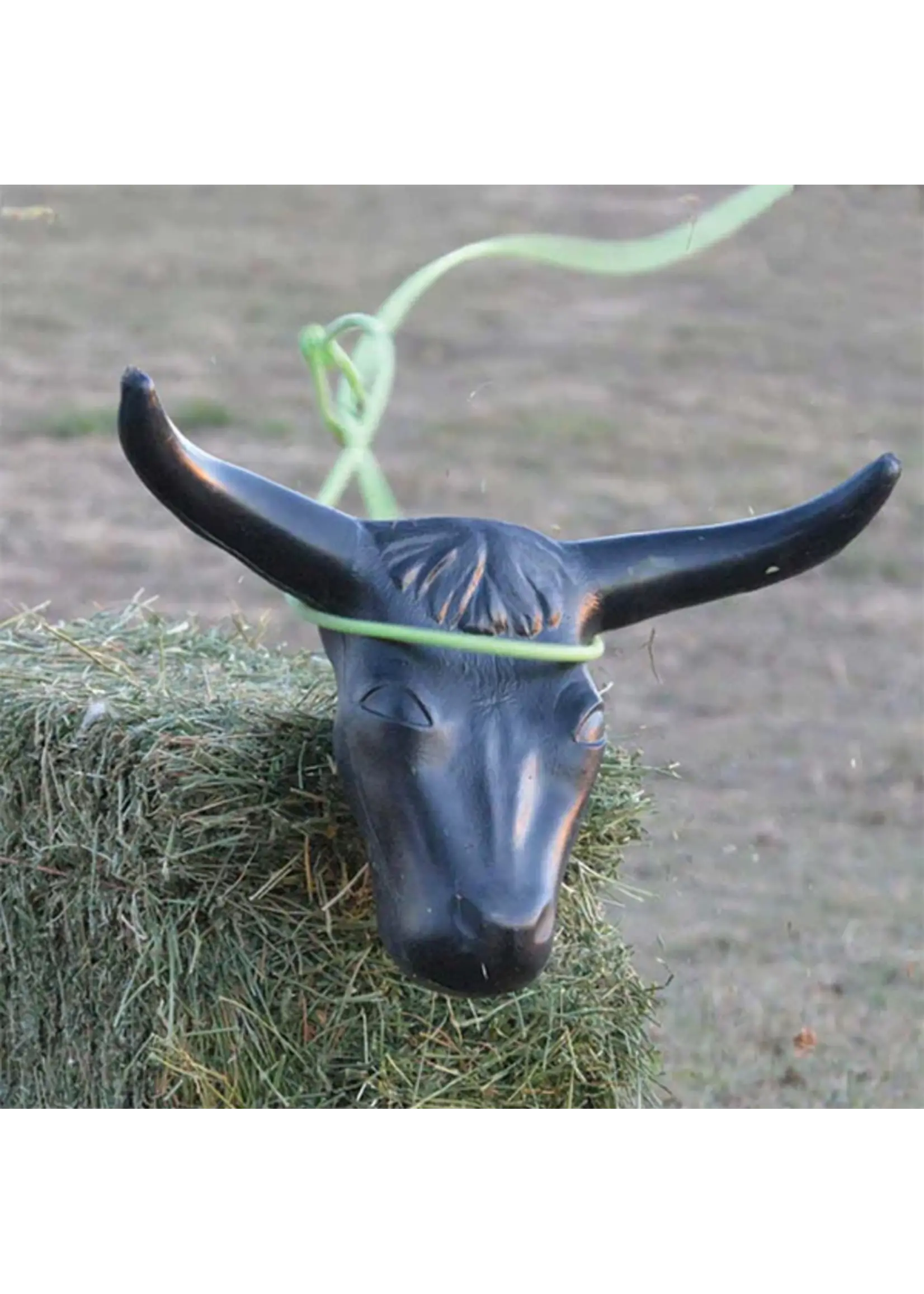Steer Head - Black
