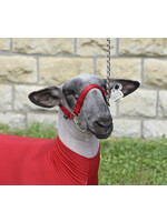 Weaver Nylon Adjustable Sheep Halter -