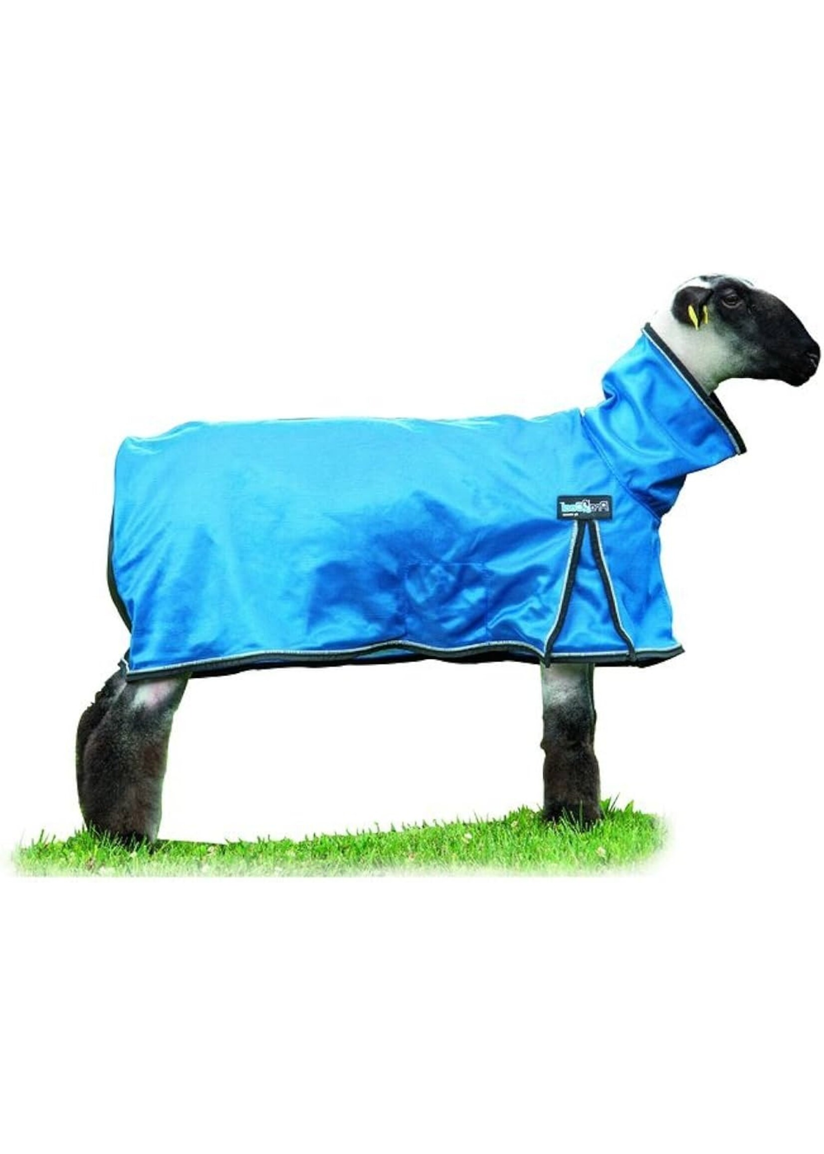 Weaver Mesh ProCool Sheep Blanket -