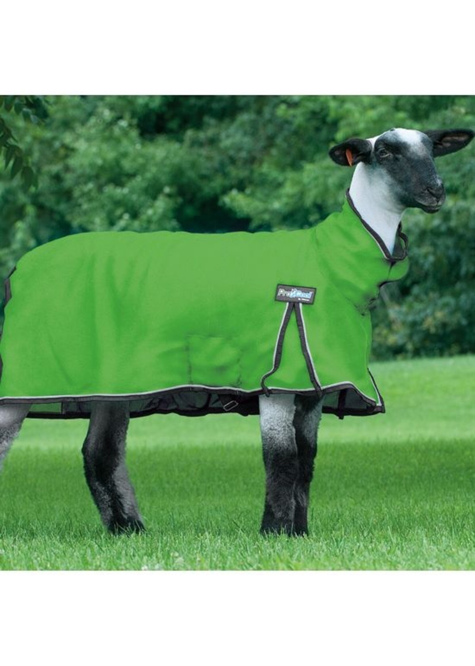 Weaver Mesh ProCool Sheep Blanket -