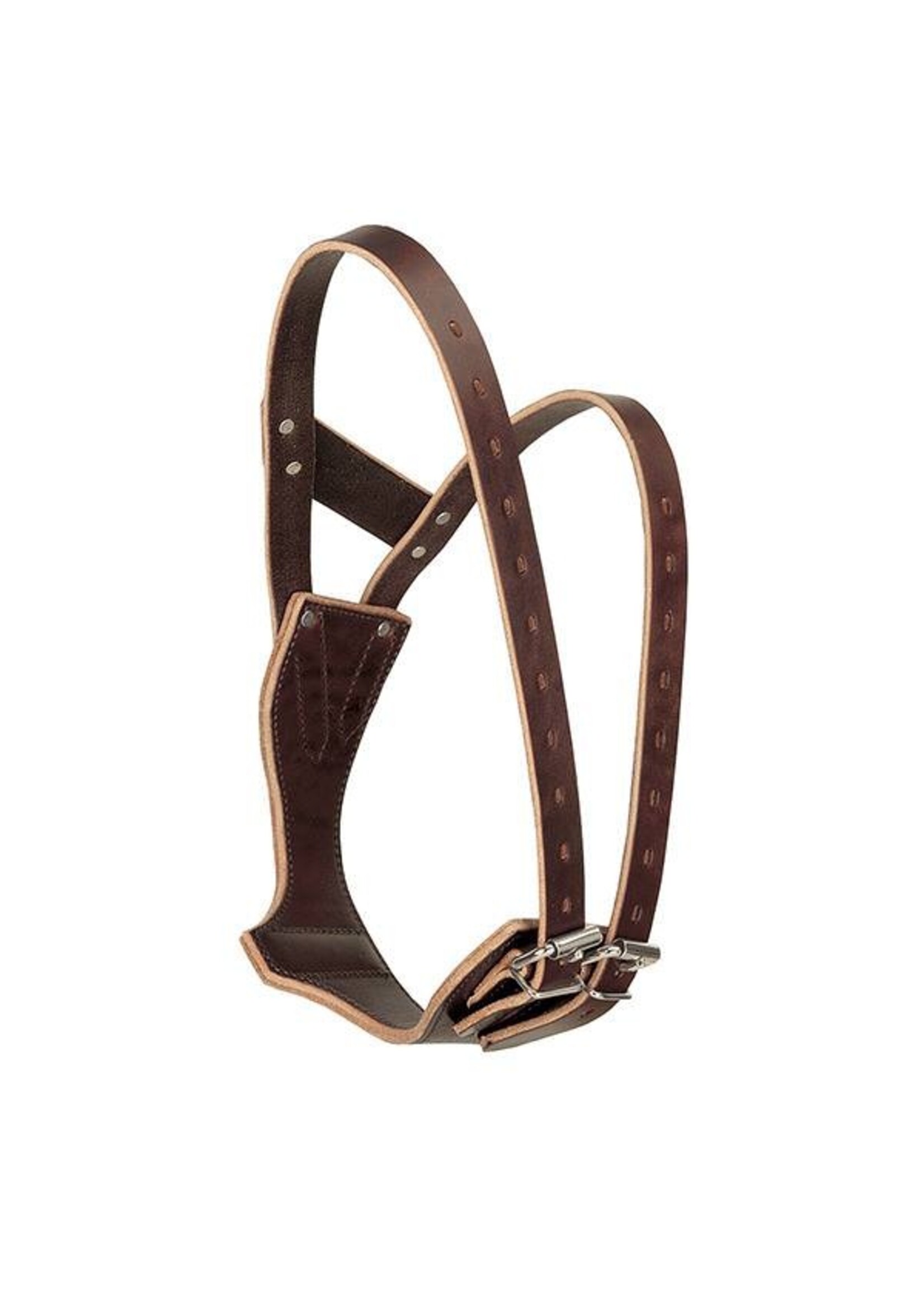 Miracle Collar - M