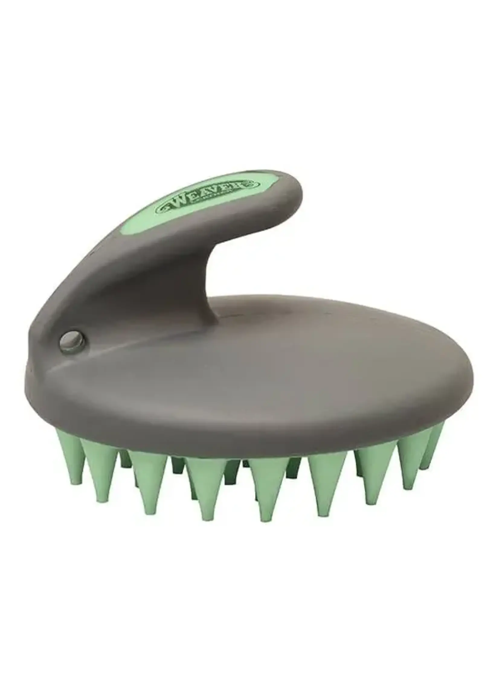 Weaver Palm Curry Brush -