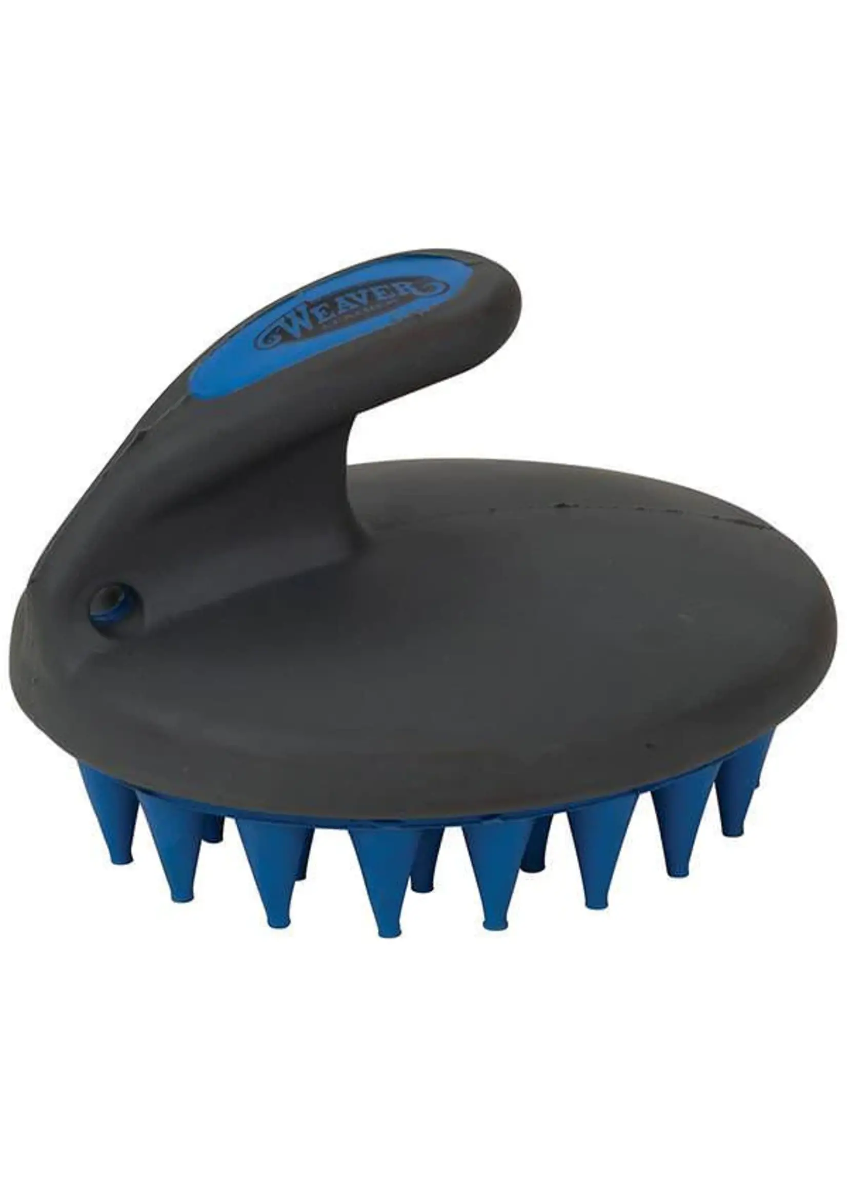 Weaver Palm Curry Brush -