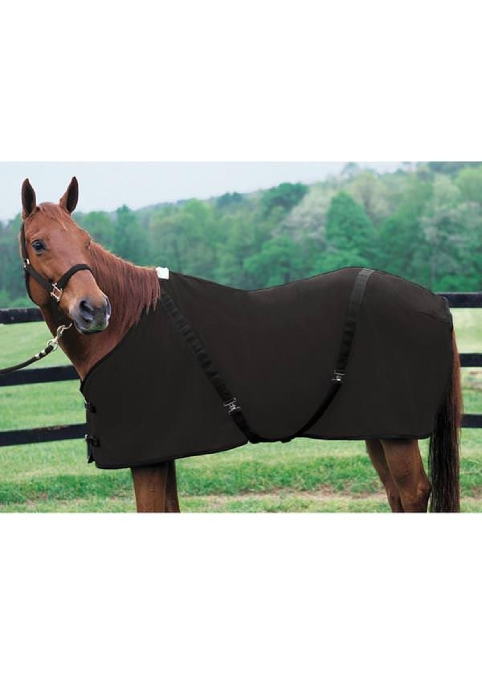 Weaver Polar Fleece Sheet -