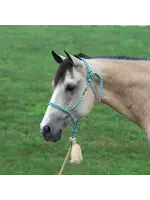 Silver Tip Rope Halter With Lead