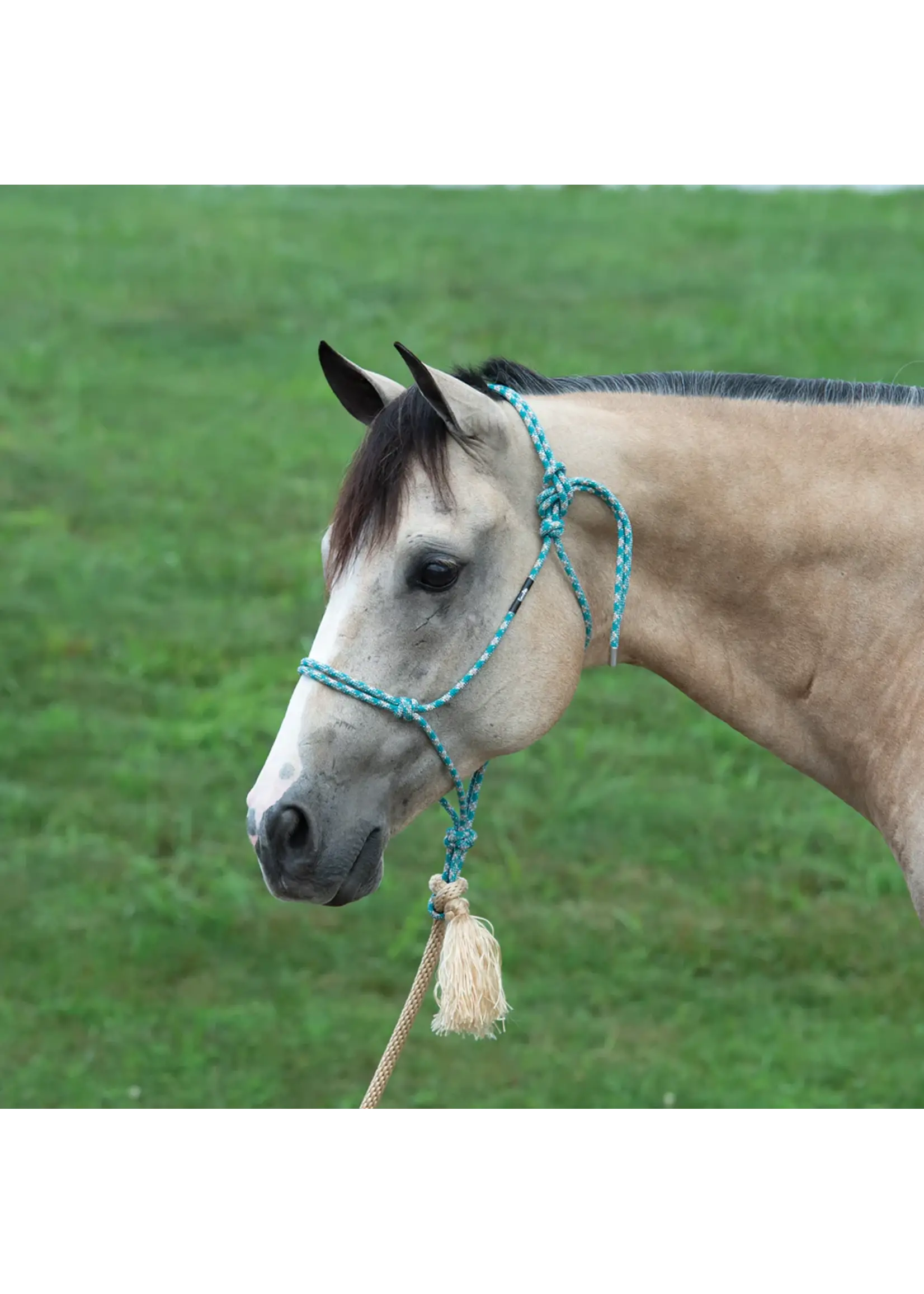 Silver Tip Rope Halter With Lead