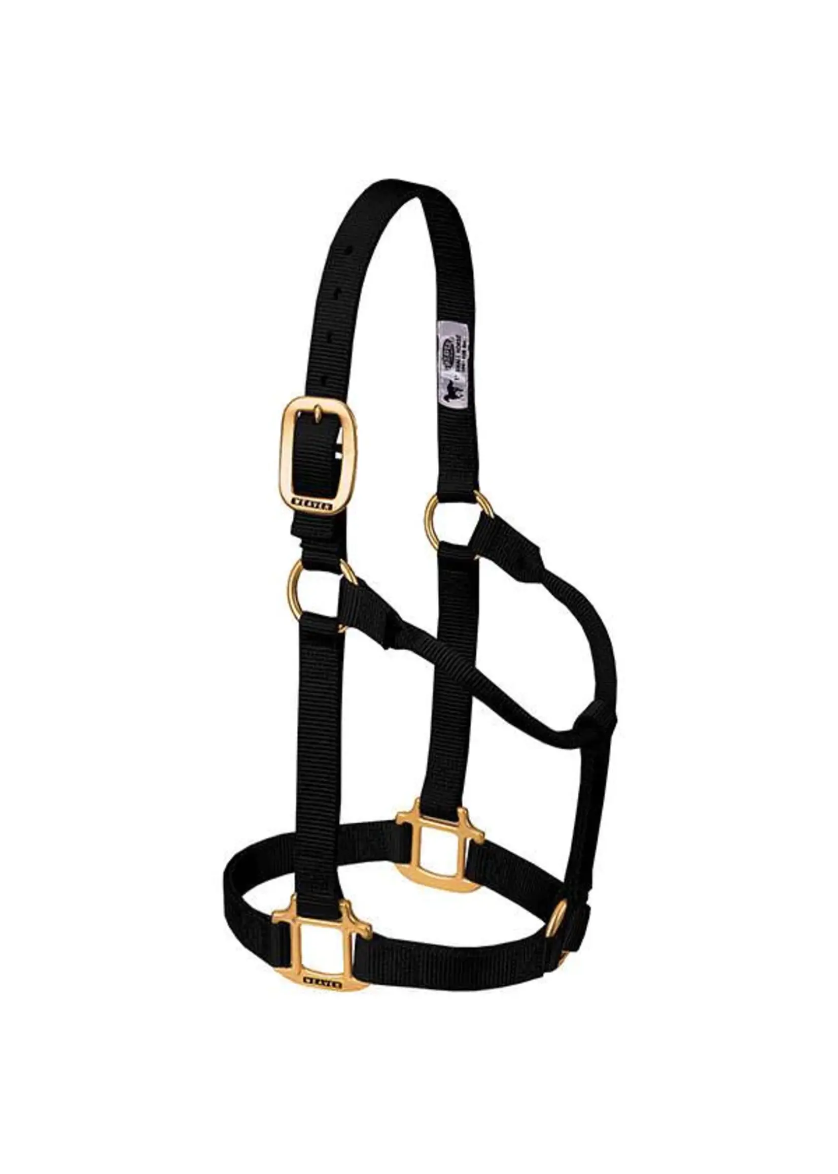 Weaver Weaver Halter - Large  -
