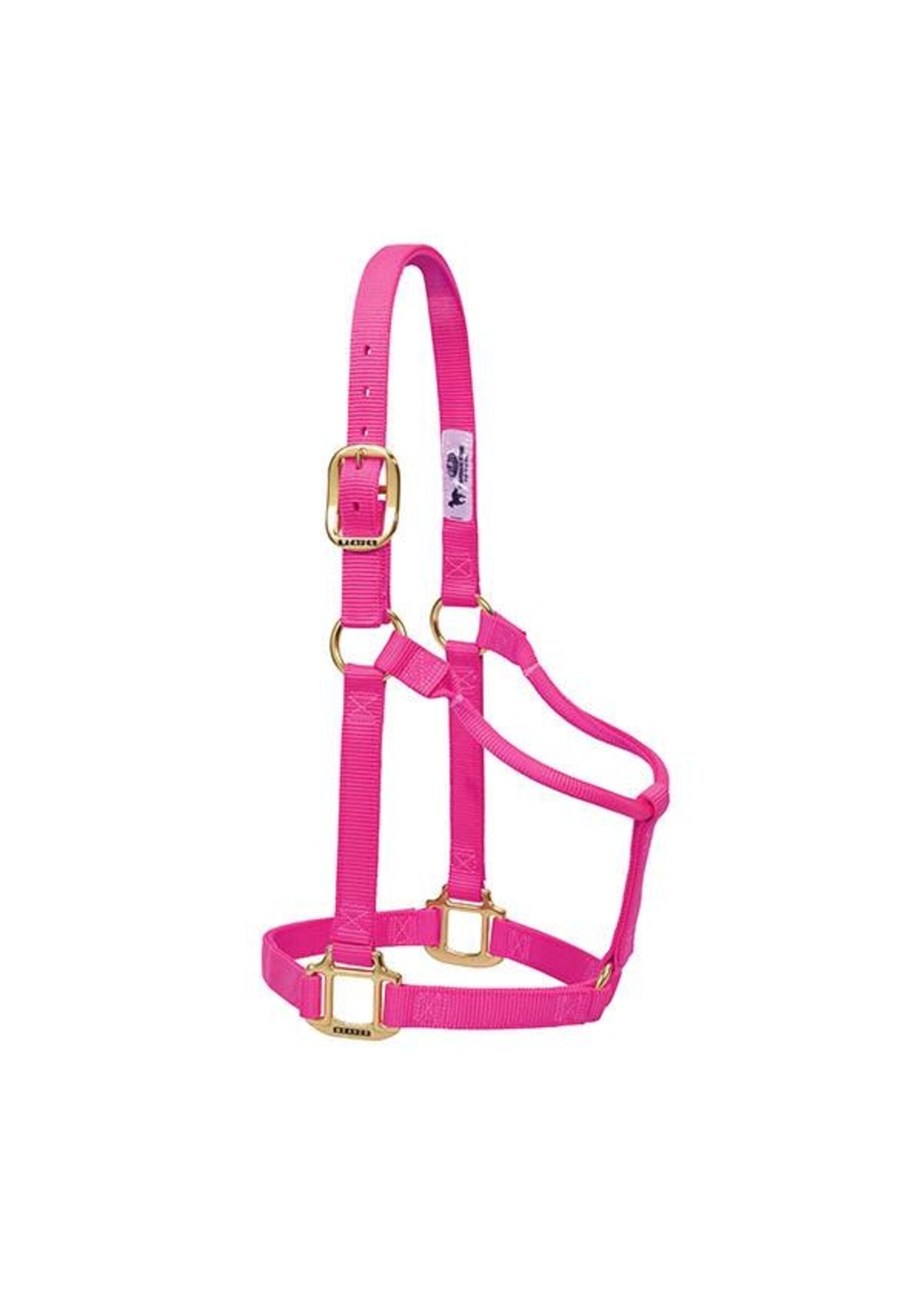 Weaver Weaver Halter - Large  -