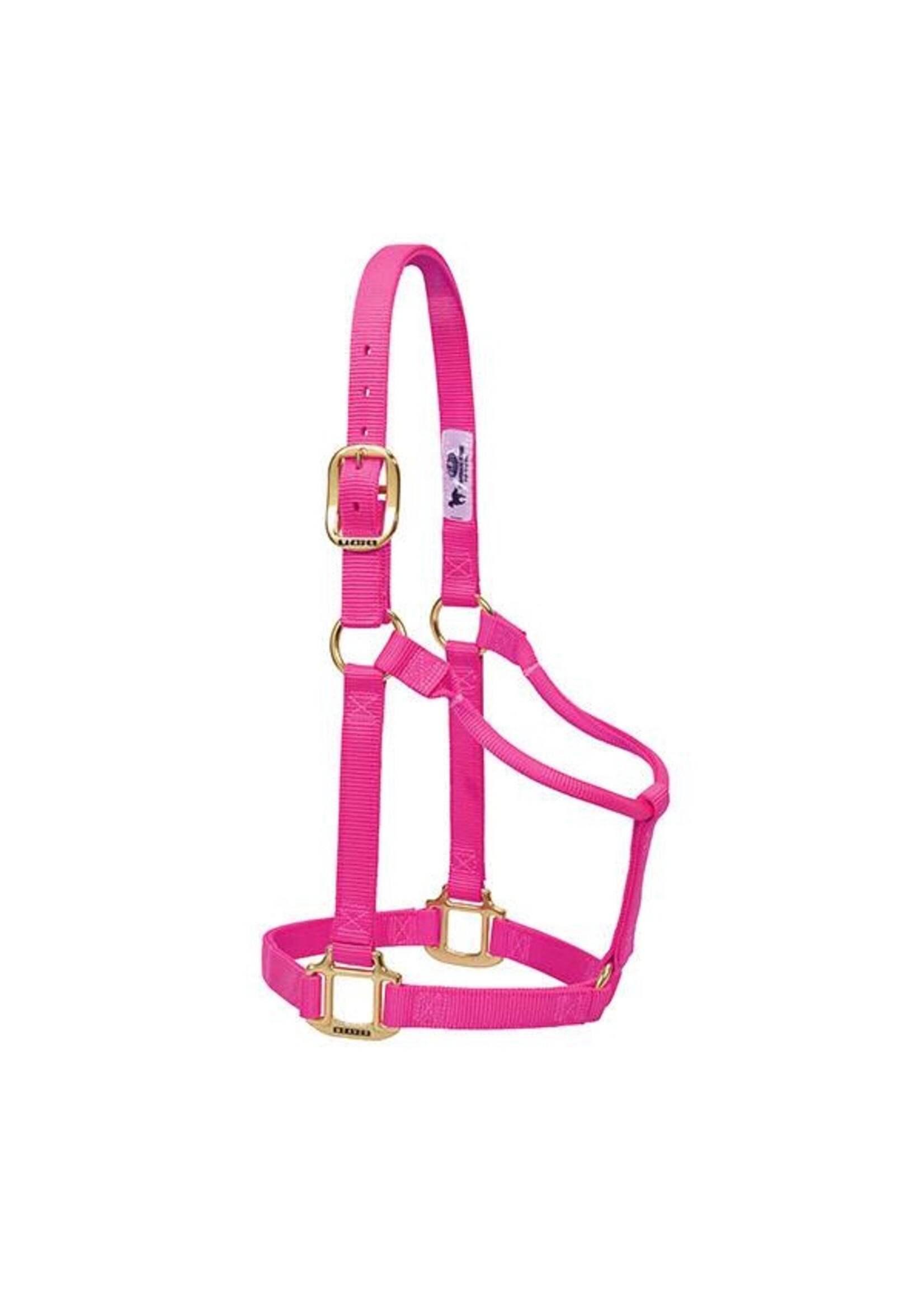 Weaver Weaver Halter - Weanling/Pony -