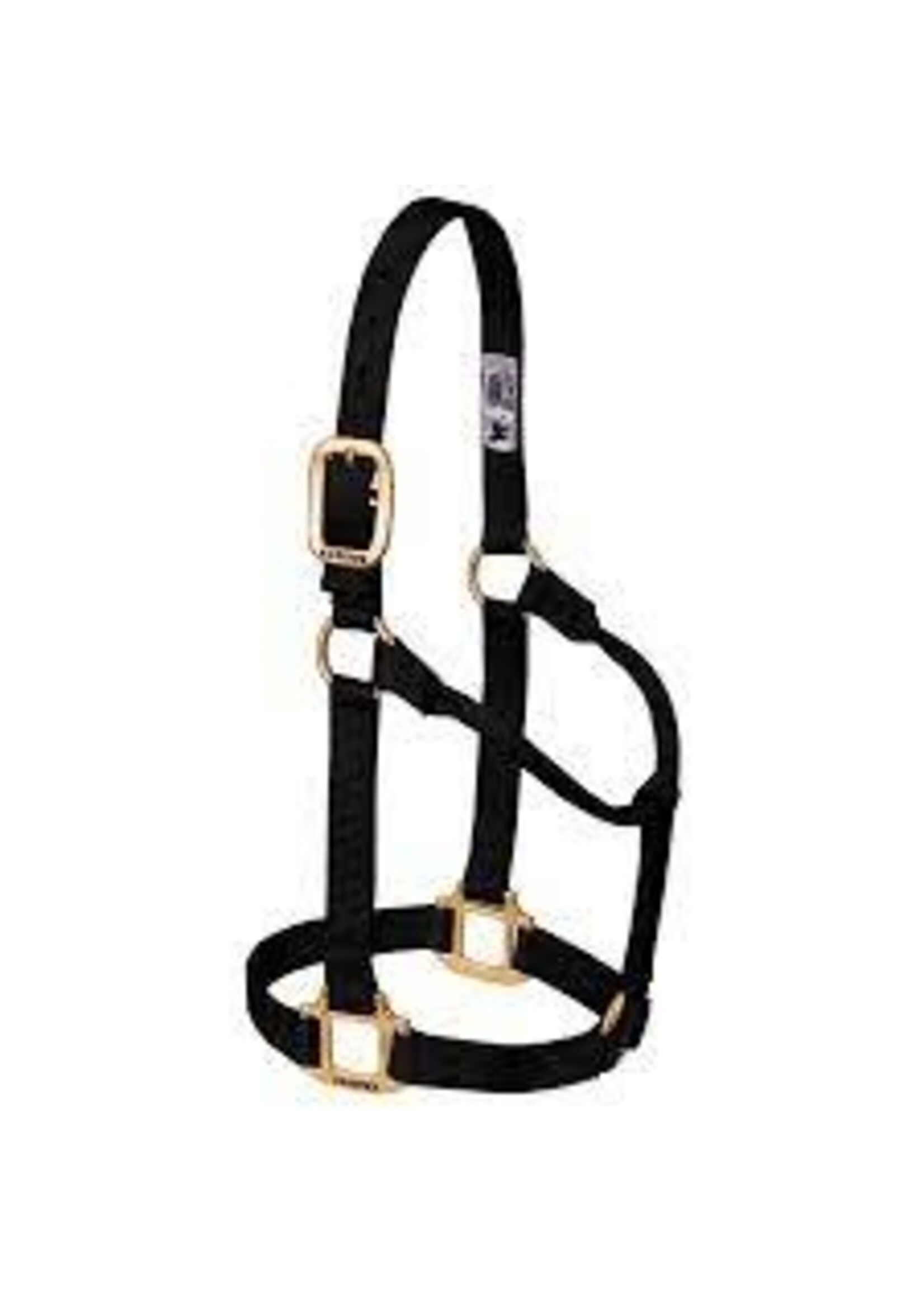 Weaver Weaver Halter - Weanling/Pony -