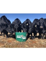 CattleActiv CattlActive 20% All-Natural Tub - 200lbs