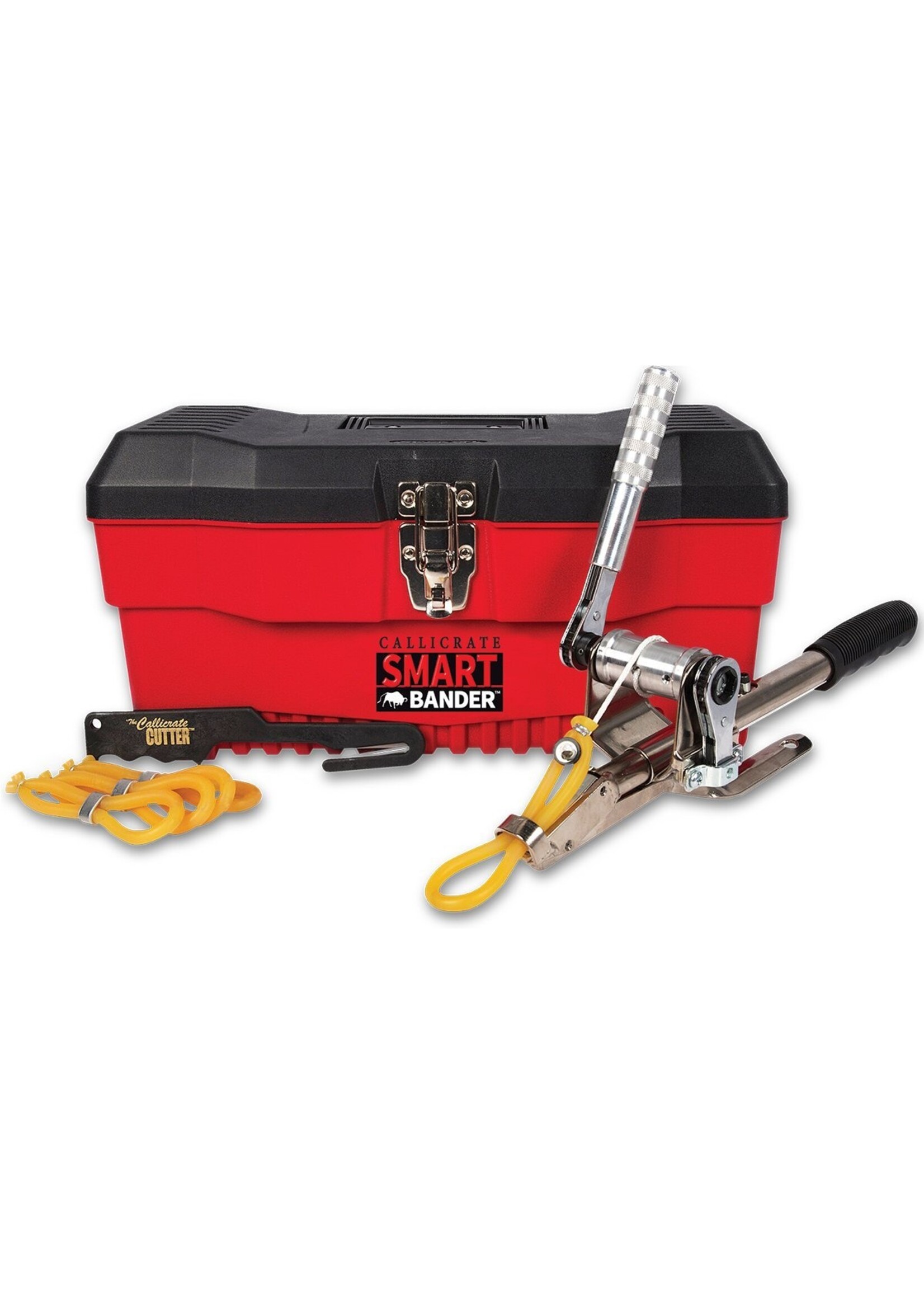 Callicrate Rental - Callicrate Bander - Day