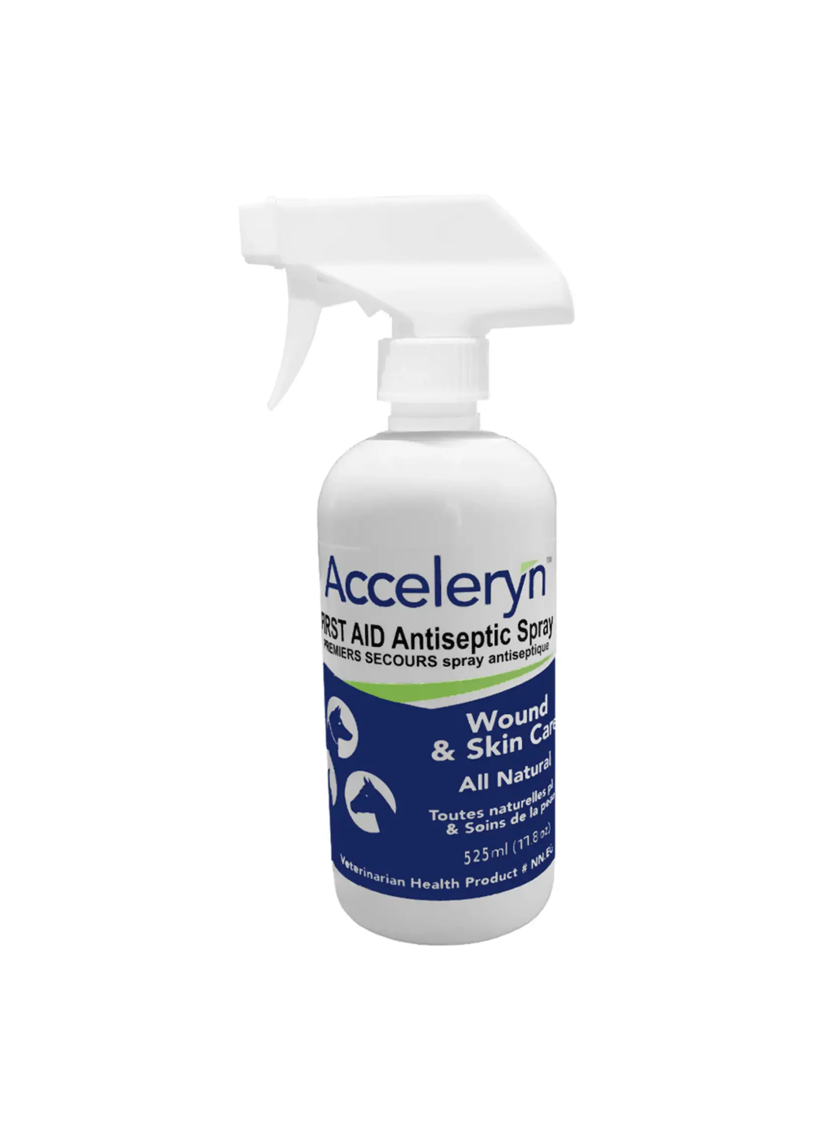 Acceleryn Acceleryn -