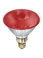 Canarm Heat Lamp Bulb - Canarm Par 38 - 150W