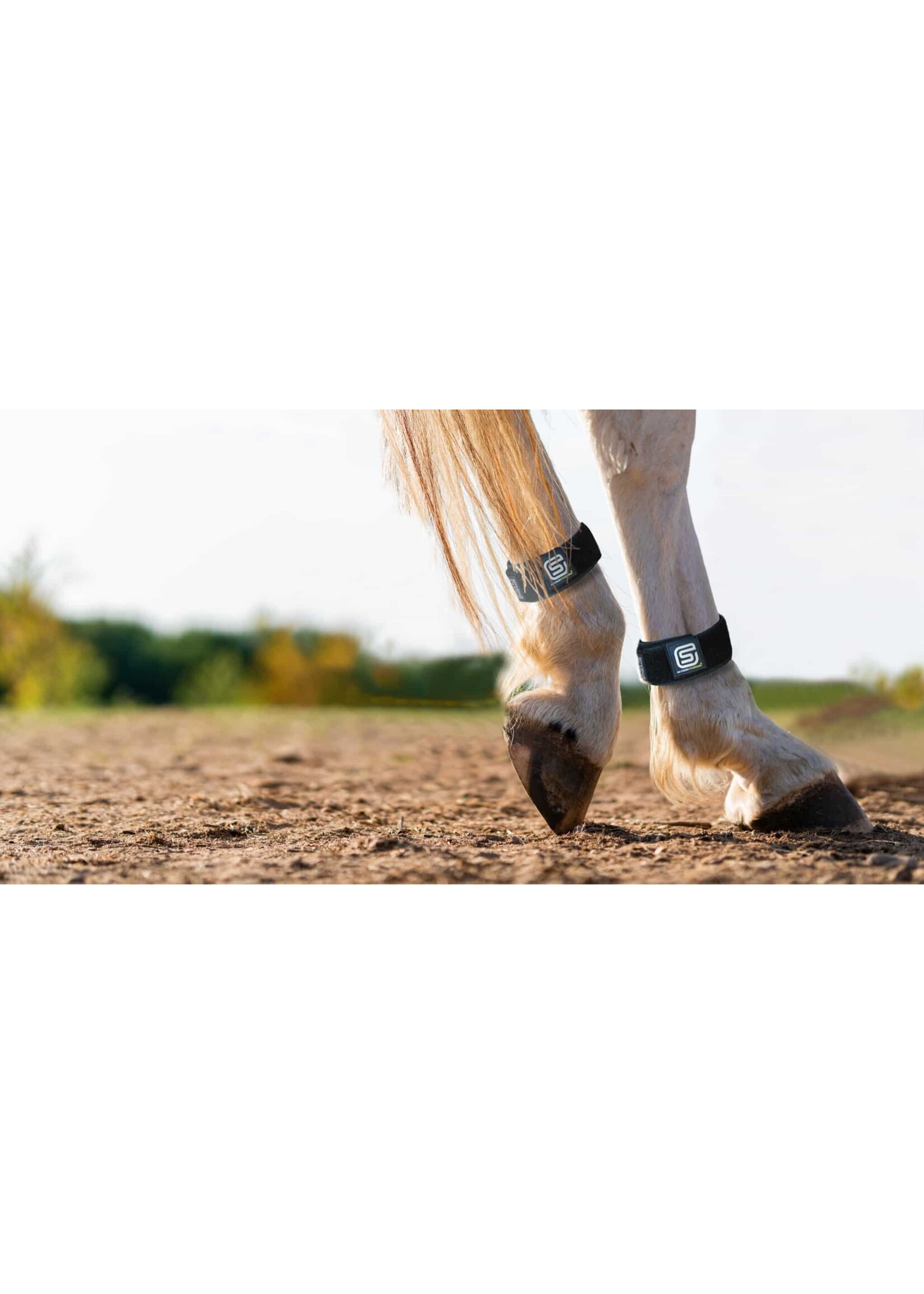 EQU Streamz Fetlock Bands