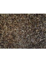 Molasses - Liquid - 20 kg