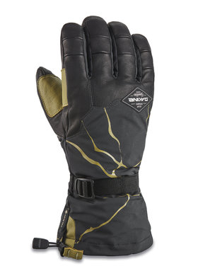 Dakine Dakine Team Phoenix Gore-Tex Glove