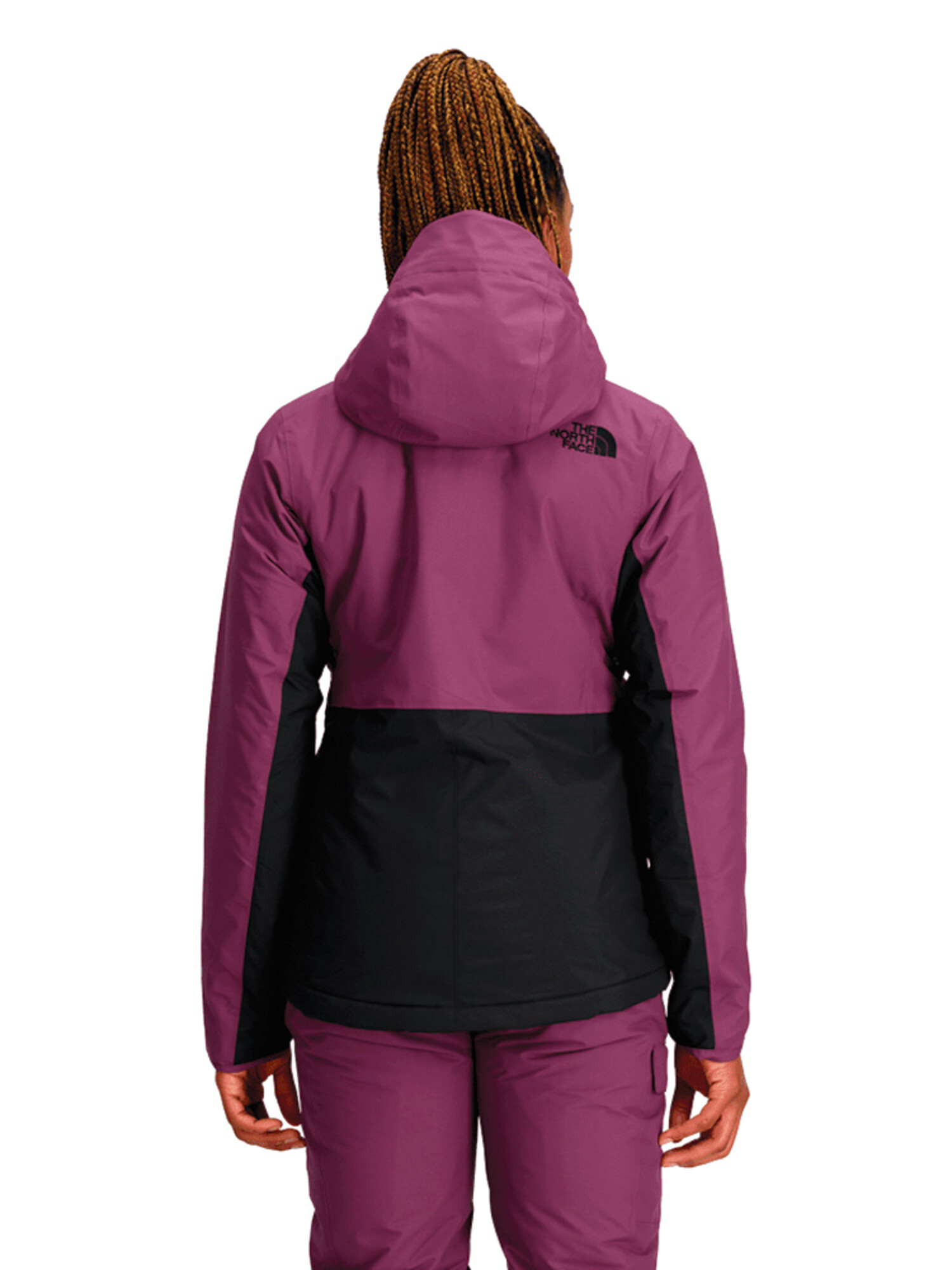 The North Face The North Face Freedom Insulated Jacket - Women's