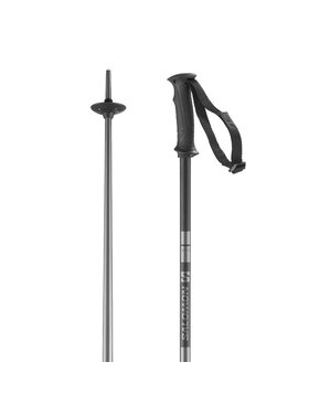 Salomon Salomon Arctic Poles