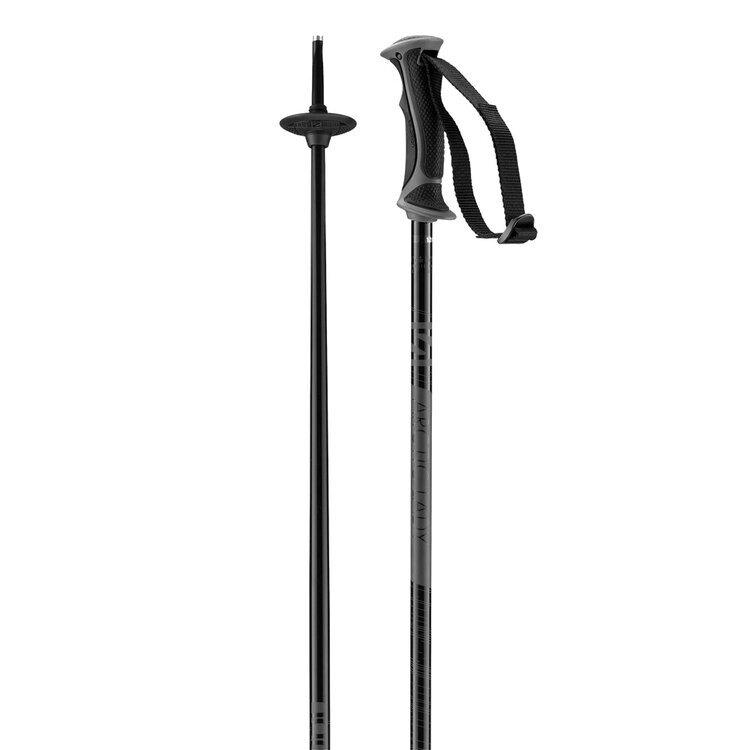Salomon Salomon Arctic Lady Poles