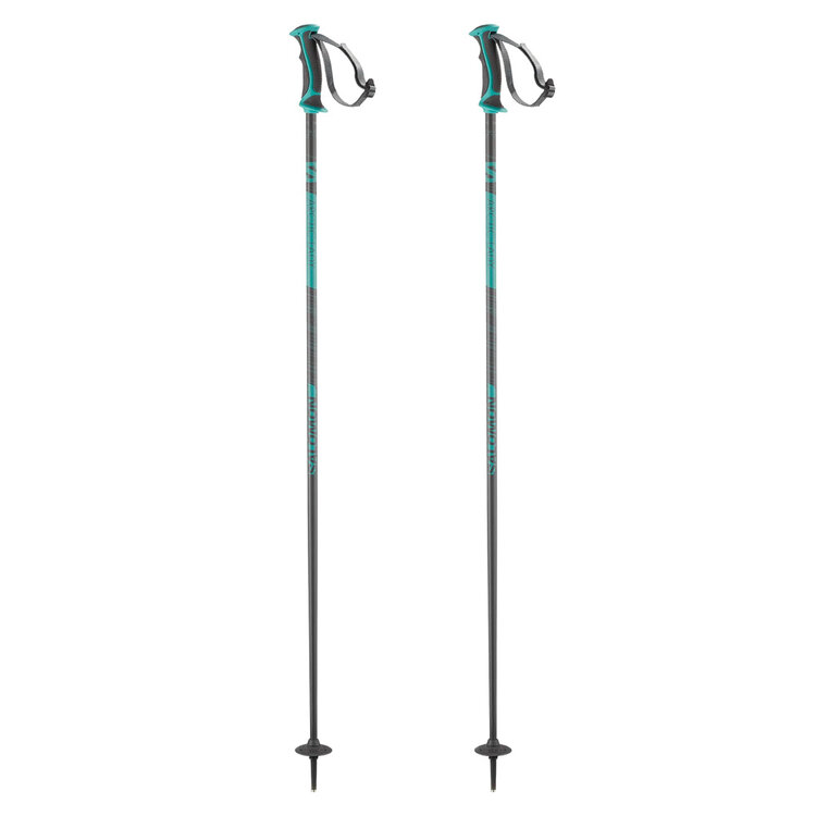 Salomon Salomon Arctic Lady Poles